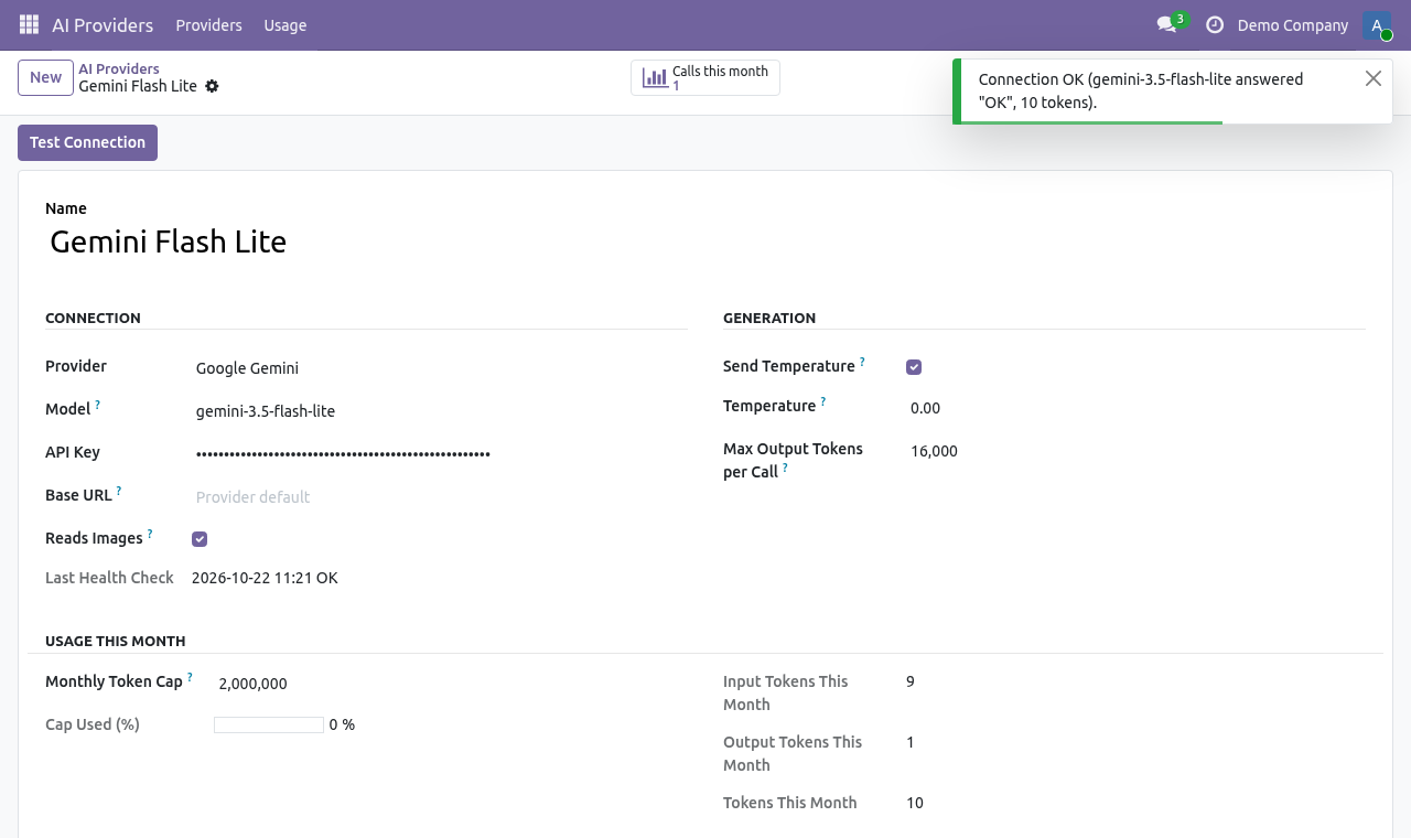 Test Connection result confirming the API key and model work